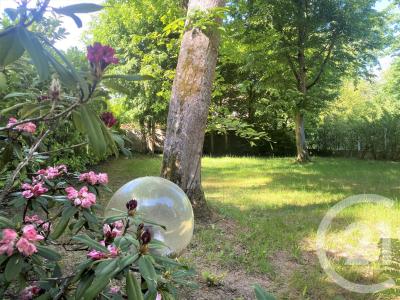 Morsang Sur Orge, إيل دي فرانس 91390, فرنسا