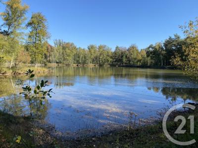 Центр — Долина Луары, Франция