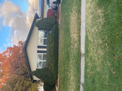 18941 Cypress Ave, Country Club Hills, Illinois 60478, USA