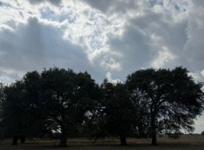 00 County Road 302, Runge, Texas 78151