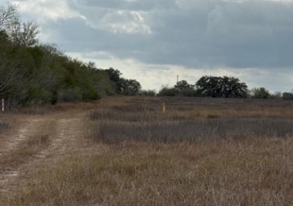 00 County Road 302, Runge, Texas 78151