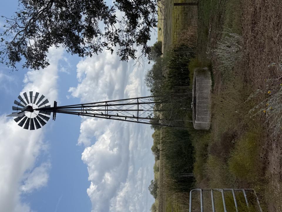 00 Simpson Ranch Road, Runge, Texas 78151, Stati Uniti