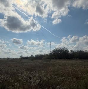 00 Simpson Ranch Road, Runge, Texas 78151, Stati Uniti