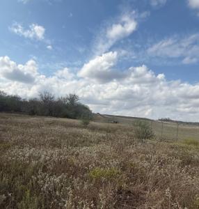 00 Simpson Ranch Road, Runge, Texas 78151, Stati Uniti