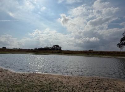 4689 County Road 302, Runge, Texas 78151, Stati Uniti