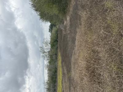 4689 County Road 302, Runge, Texas 78151, Stati Uniti