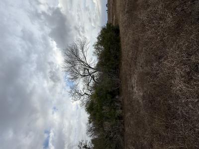 4689 County Road 302, Runge, Texas 78151, Stati Uniti