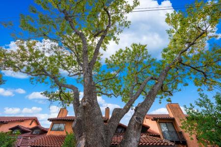 1123 Lois St, Kerrville, Texas 78028