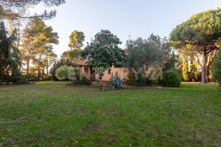 Località Pian d'Alma, Castiglione Della Pescaia, Toscana 58043, 이탈리아