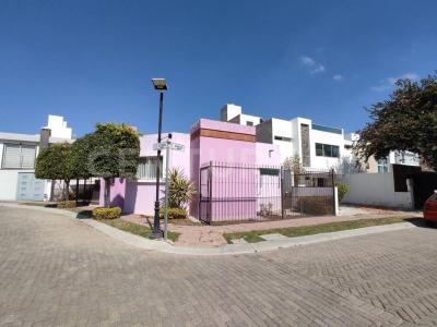 Roble 22,, San Juan Del Río, 克雷塔罗 76803, 墨西哥