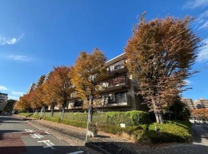 本牧原20-27, 新本牧壱番館, 横浜市中区, Kanagawa 231-0821, Japão