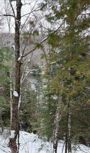 8M  Route des Érables, La Conception, 魁北克省 J0T 1M0, 加拿大