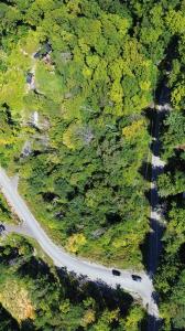 Ch. du Lac-Dufour, Mont-Tremblant, Quebec J8E 2A9, Canadá