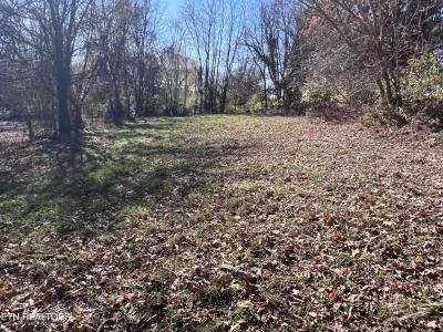 OFF Jefferson St, White Pine, 田纳西州 37890, 美国