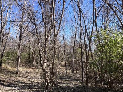 OFF Jefferson St, White Pine, 田纳西州 37890, 美国