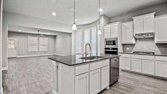 2516 Goldfinch Drive, Denton, Texas 76205