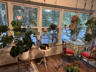 150-67 87 Avenue, Briarwood, 纽约州 11432, 美国