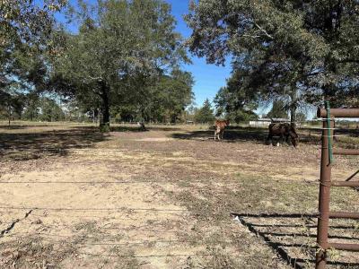 1630 FM 593, Gilmer, טקסס 75644, ארצות הברית של אמריקה