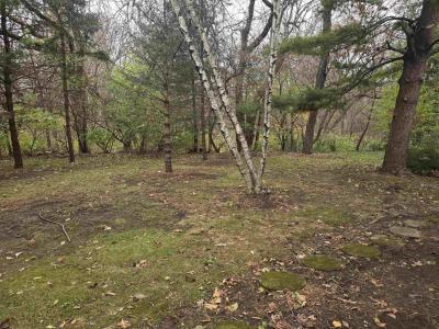 5563 Palisades Parkway, Rockford, Illinois 61109, Estados Unidos