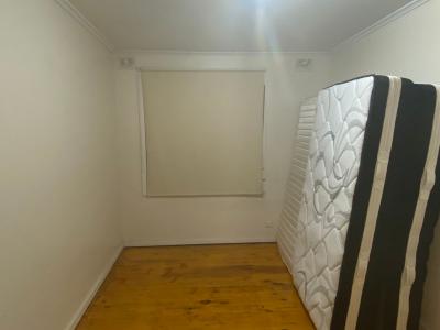 13 Sherborne Street, Elizabeth Downs, SA 5113, 오스트레일리아