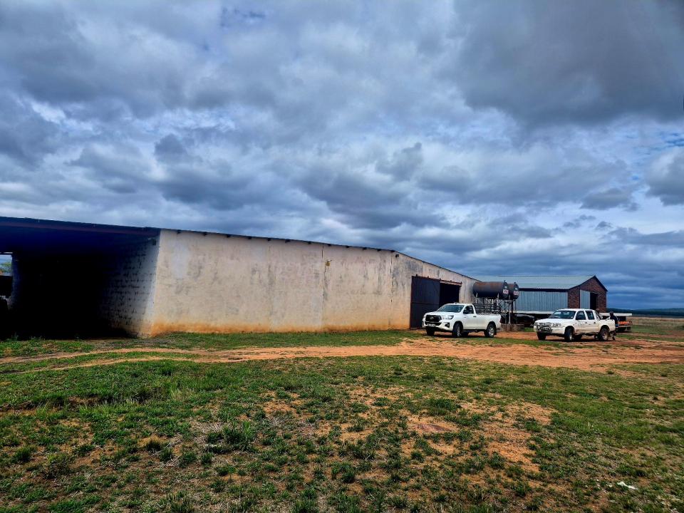 Mookgopong, Limpopo, 南非