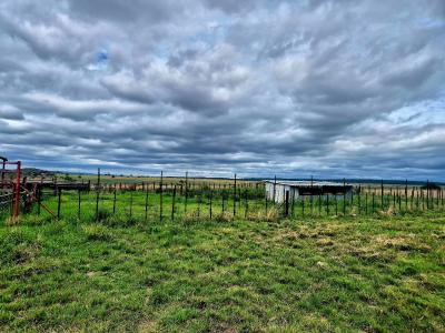 Mookgopong, Limpopo, 南非