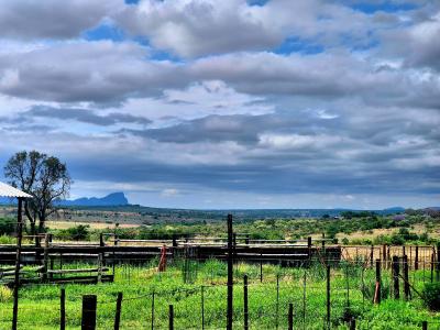 Mookgopong, Limpopo, 南非