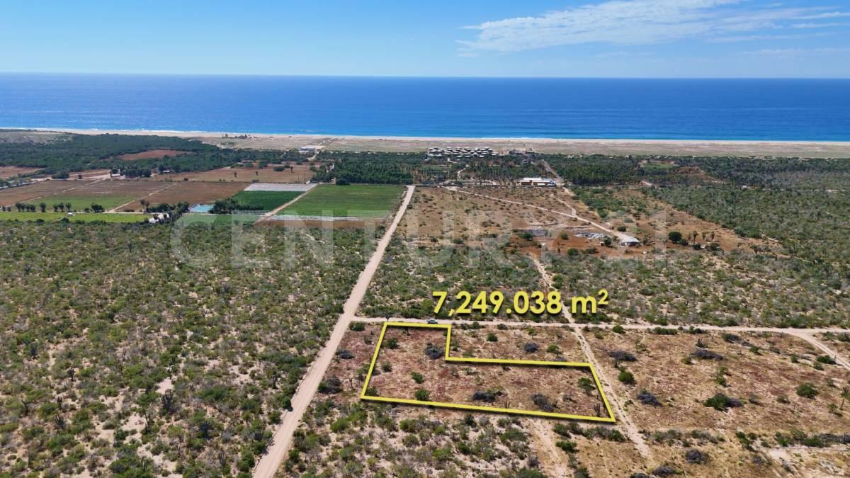 La Paz, 南下加利福尼亚 23300, 墨西哥