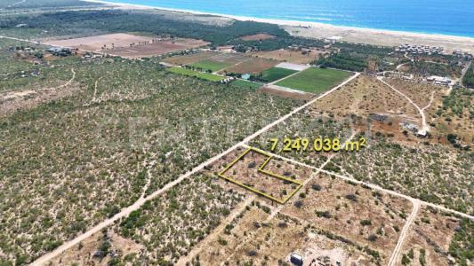 La Paz, 南下加利福尼亚 23300, 墨西哥