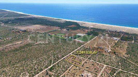 La Paz, 南下加利福尼亚 23300, 墨西哥