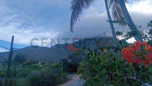 La Orquidea Quinta Amor, La Plaza De Paraguachí, Nueva Esparta 6316, 委內瑞拉