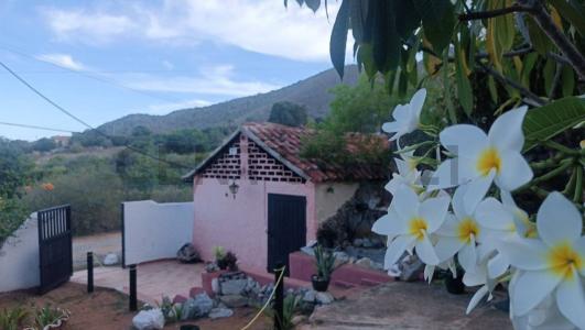 La Orquidea Quinta Amor, La Plaza De Paraguachí, Nueva Esparta 6316, 委內瑞拉