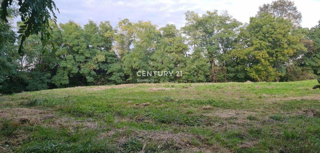 Bodislavci, Ljutomer, Pomurska 9243, Словения