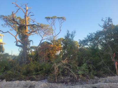 232 E Pine Ave, Saint George Island, フロリダ 32328, アメリカ合衆国