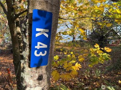 43 Beach Way, Hat Island, واشنطن 98206, الولايات المتحدة