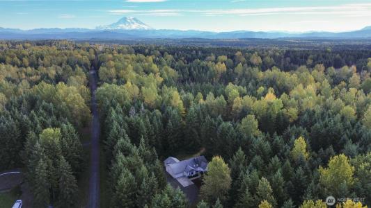 1710 S 390th Street, Roy, Washington 98580