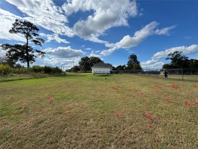 2009 Ringgold Avenue, Coushatta, Louisiana 71019, Estados Unidos