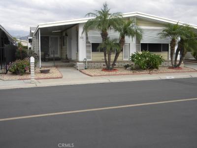 1414 Century Street, Redlands, קליפורניה 92374, ארצות הברית של אמריקה