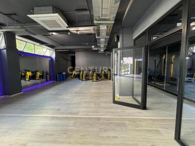 Liqeni i Thatë, Tirana, אלבניה 