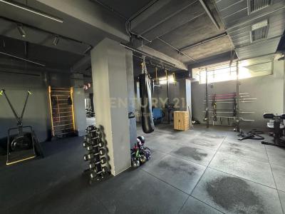 Liqeni i Thatë, Tirana, אלבניה 