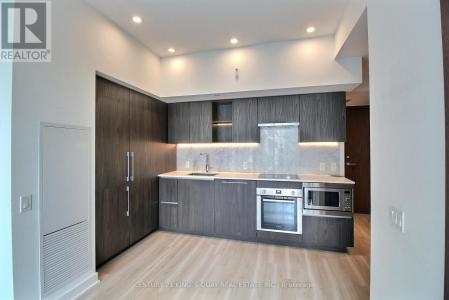 17 BATHURST STREET, Toronto (waterfront Communities), Ontario M5V 0N1, Canadá