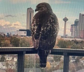 7711 GREEN VISTA GATE, Niagara Falls, Ontario L2H 1R1, CANADÁ