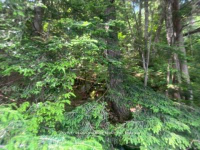 0 ISLAND LAKE ROAD, Kearney, Ontario P0A 1M0, Canada