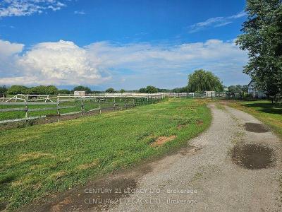 2569 BERTIE ROAD, Fort Erie, 安大略省 L0S 1S0, 加拿大