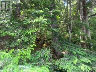 0 ISLAND LAKE ROAD, Kearney, Ontario P0A 1M0, Canada