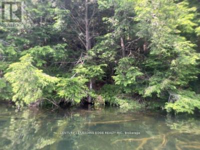 0 ISLAND LAKE ROAD, Kearney, Ontario P0A 1M0, Canada