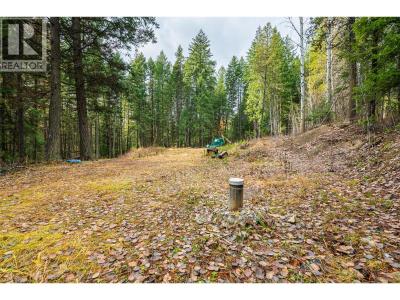 8667 YAHK SETTLEMENT ROAD, Yahk, Colombie-Britannique V0B 2P0, Canada