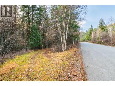 8667 YAHK SETTLEMENT ROAD, Yahk, Kolumbia Brytyjska V0B 2P0, Kanada