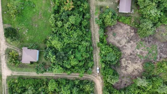 Belmopan, Cayo 00001, Belize