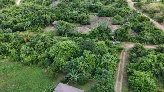 Belmopan, Cayo 00001, Belize